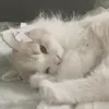 luluqueen730