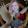 user27057080703970