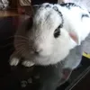 cristinafluffy0