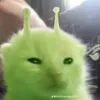_bisudth_8