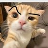 _sa_miya_0