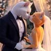Meow Fan Dairy