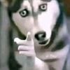 grrr_ecenter7788