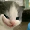 trhau_210