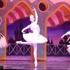 ballerinainprogre