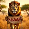 hassaan.malik041