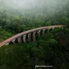 ky_4346