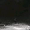 syhrl_046
