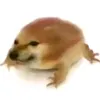 pibrrs09