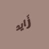 zayedahmad111.111