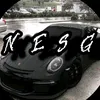 nesg600