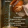 mariammarcano