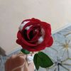 abwmrbuz193