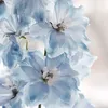briinsideblue