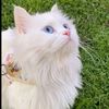 user5102345169760
