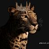 anfeeel45