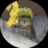 patacrepforever