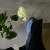 n_z_79