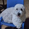 mely.garibaldi