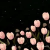 thanh_diep008