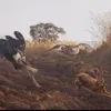 روائع أنستغرام المغربية