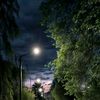 salam.mohamed64