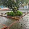 pastormurillo81