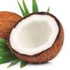 coconut_coco00100