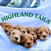 highlandtails