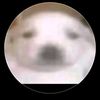 nose_que_poner836