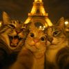 nawal.mohamed73