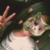 user5696194070530