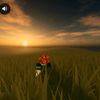 nopal_biasa5