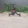 parabucing0