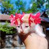 awwwwtax0