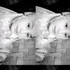 nbila_4199