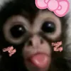 meloquoiiaa