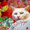 anhnguyen_2160