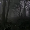 kabumrrebz9