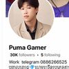 pumagaming0011