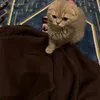 mmaarrriaaaammm