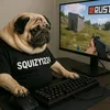 squizy2.0