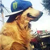 us_xohi