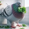 pigeon6270
