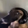 vvqapc
