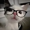 tsai_11