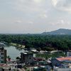 linhtet45831