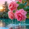 noor79897