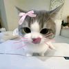 blublu_bup112