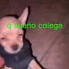 edisonbrayan4